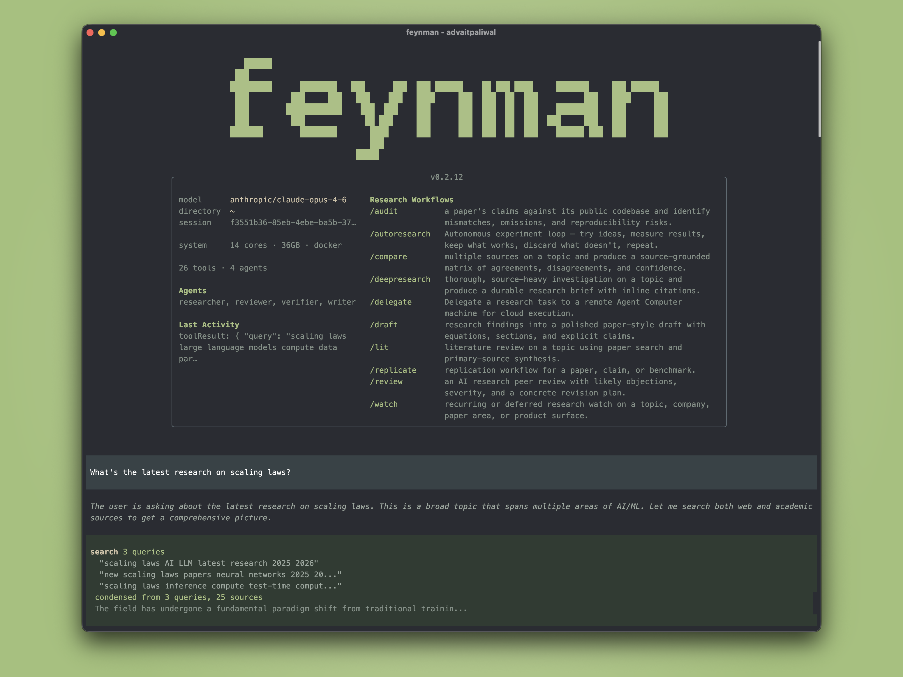 Feynman CLI