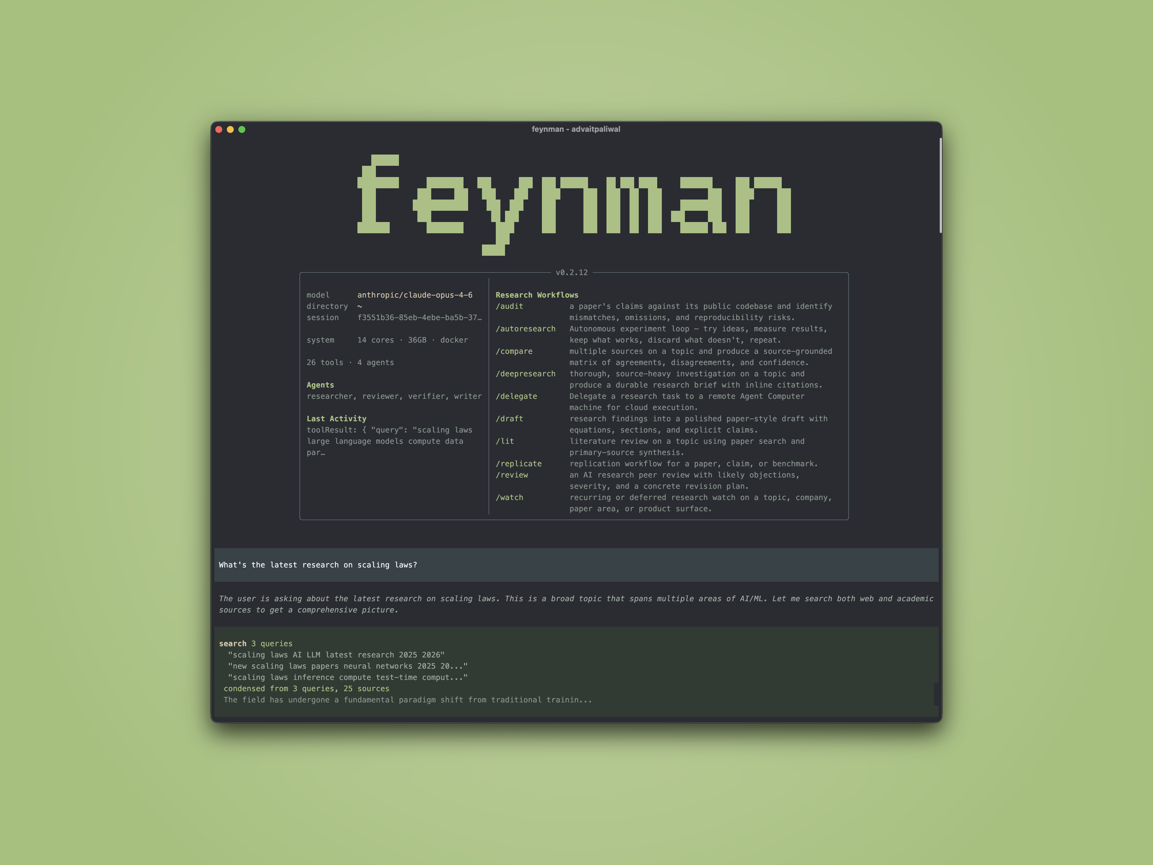 Feynman CLI